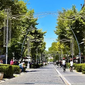 Lüleburgaz Web Tasarım